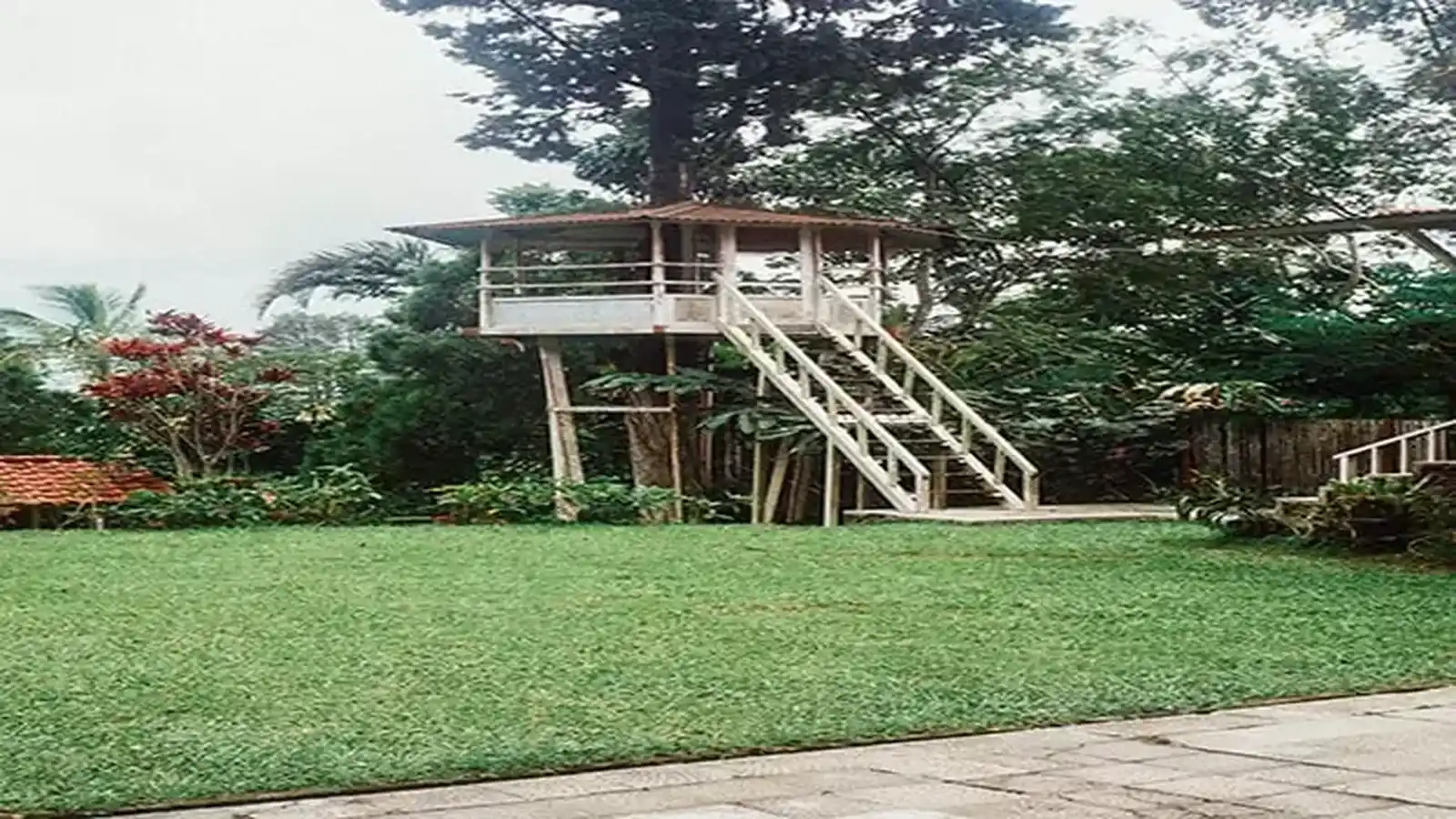 resized-Assetz-Earth-Essence-Plot-Treehouse-min